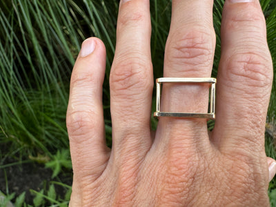 Framework Ring