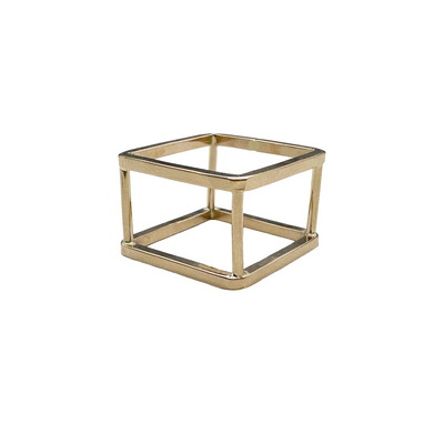 Framework Ring