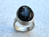 Capricorn Ring